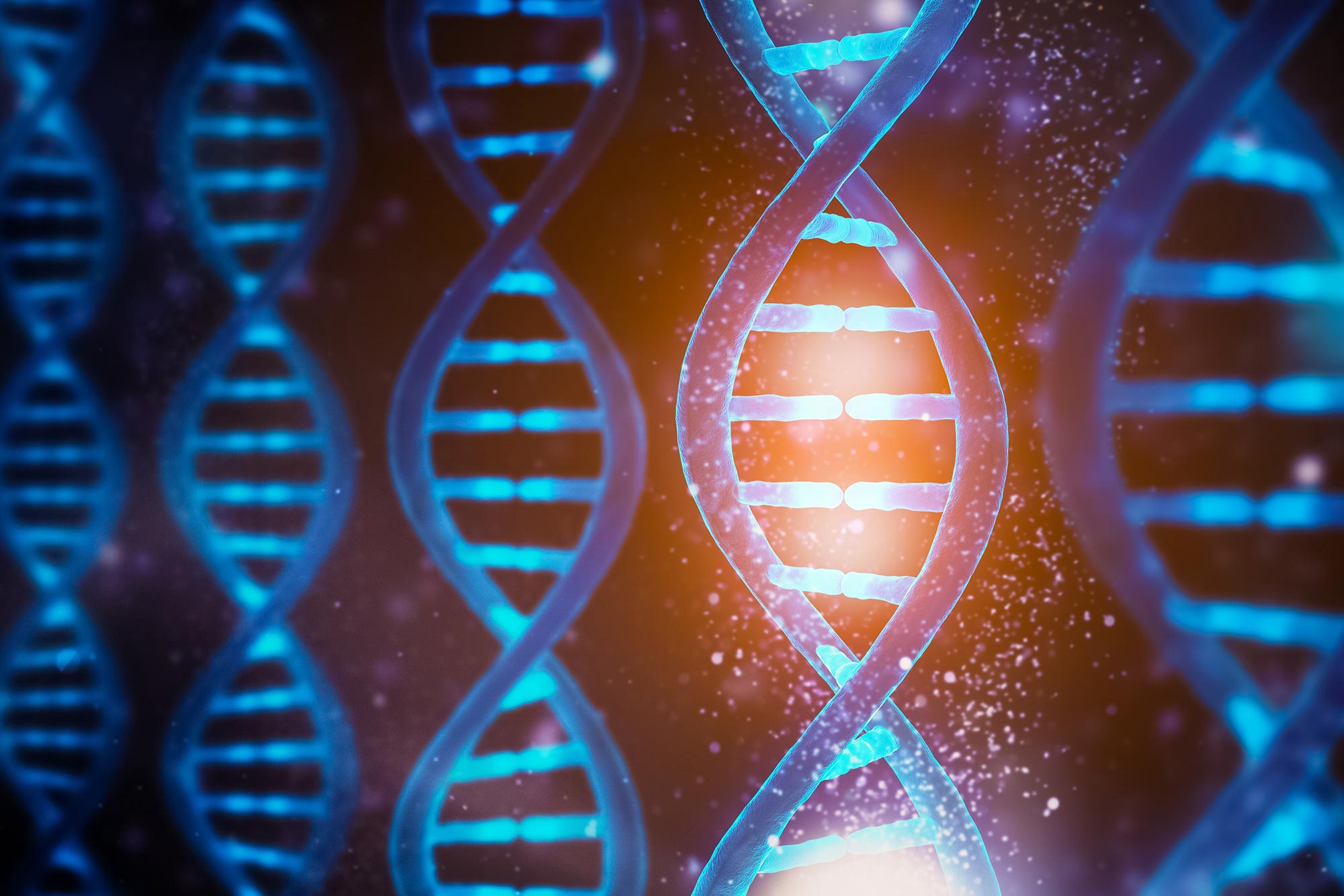 DNA-Functions-Concept